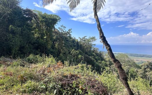 Eagle View Estate | Ocean View Land for Sale in Hatillo, Dominical