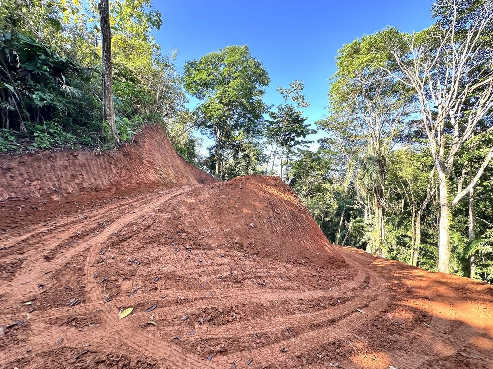 Secluded 1.25-Acre Lot with Creek Frontage
