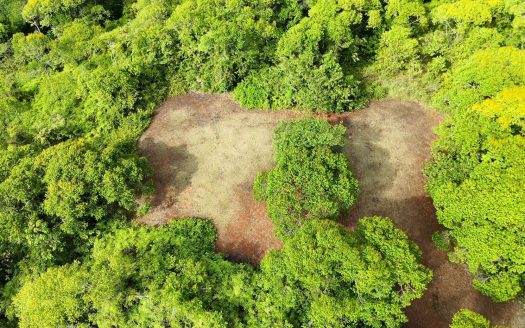 Exclusive Land Investment Opportunity Near the stunning beaches in Dominical