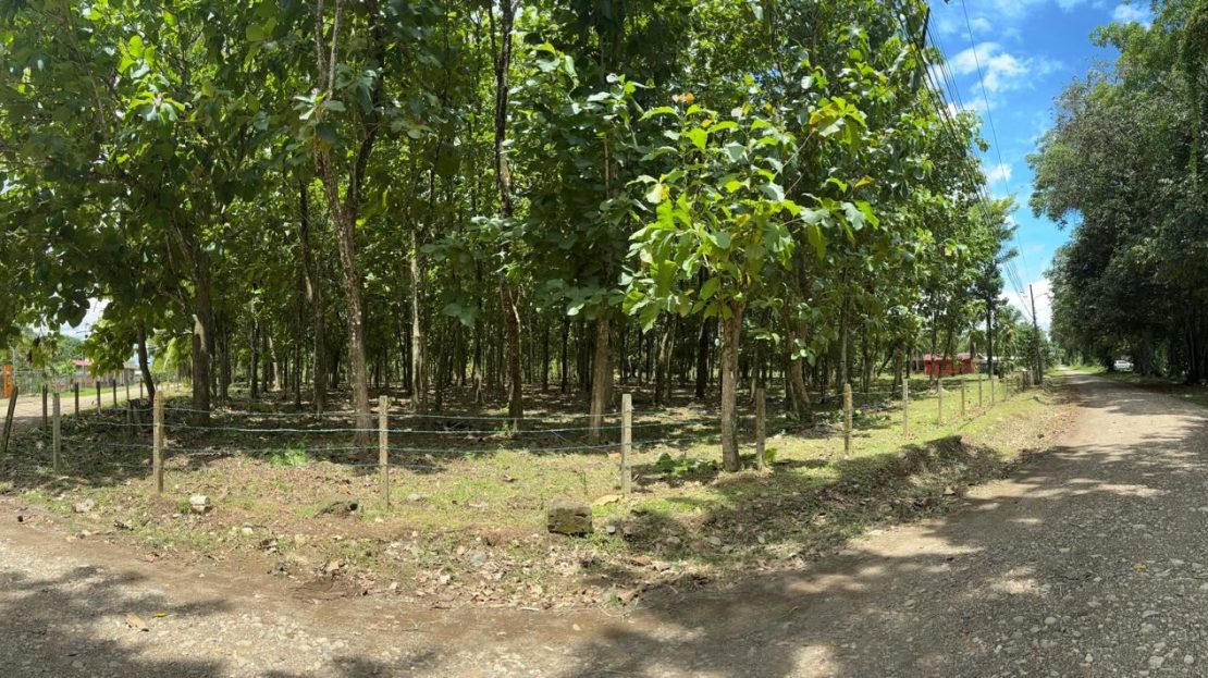Ready-to-build flat lot in Cortez Lot 1