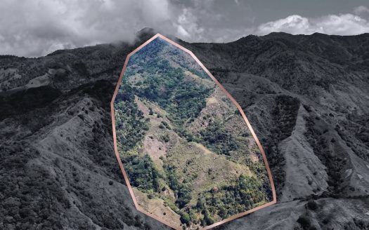Herradura Farm for Sale: 100.6 -Hectare (248.6 ac) Water and Forest Reserve in Chirripó
