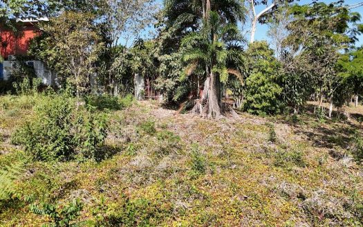 Land for sale in La Ceniza, Perez Zeledon