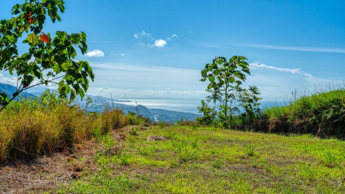 Savegre de Quepos