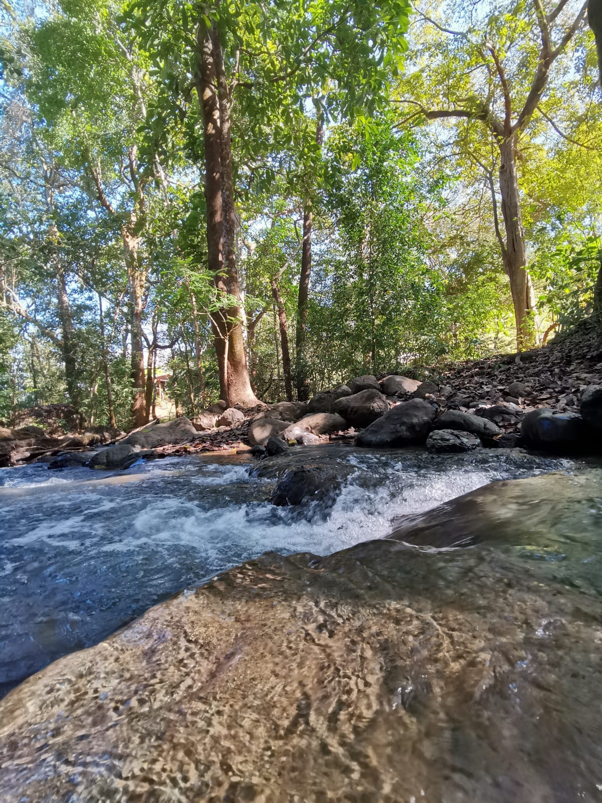 Eco Lot | Turrubares | River