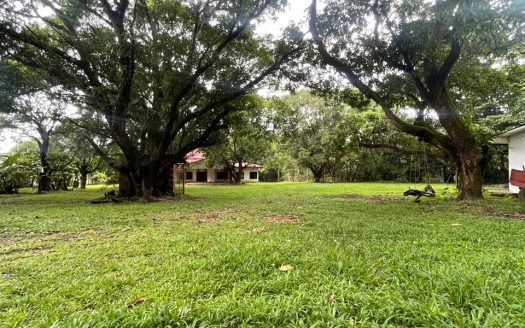 For Sale: Beautiful Property with Residential or Commercial Land Use – Ideal for Living or Developing a Boutique Hotel Project