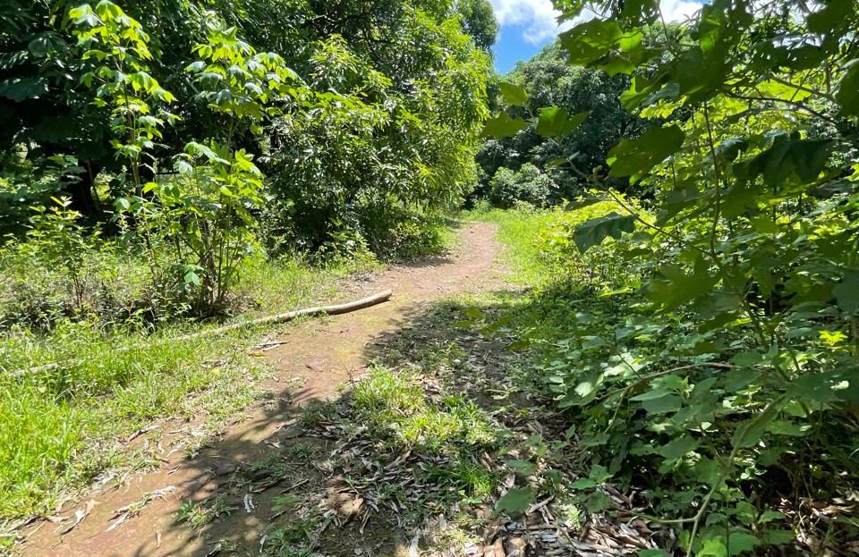 Orotina For Sale 29396 | RE/MAX Costa Rica Real Estate