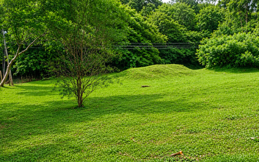 Orotina For Sale 31897 | RE/MAX Costa Rica Real Estate