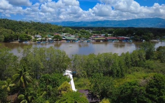 Osa>Sierpe Real Estate Listings 31253