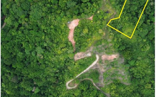 Parrita