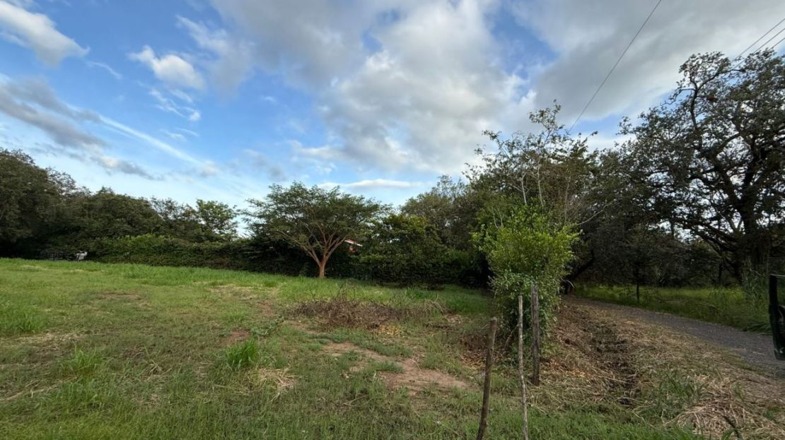Guanacaste