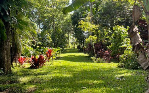 San Mateo For Sale 29495 | RE/MAX Costa Rica Real Estate