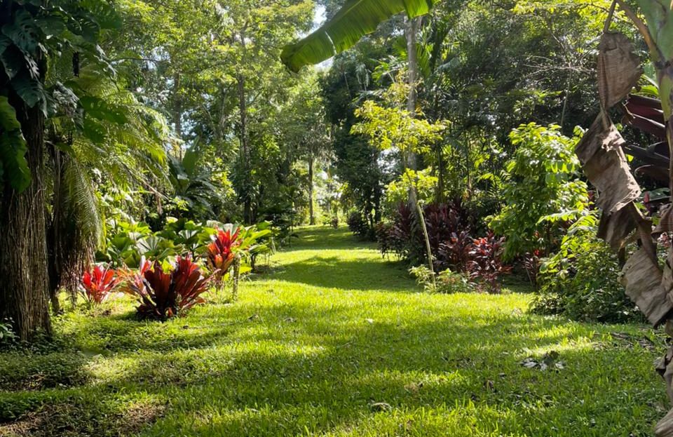 San Mateo For Sale 29495 | RE/MAX Costa Rica Real Estate