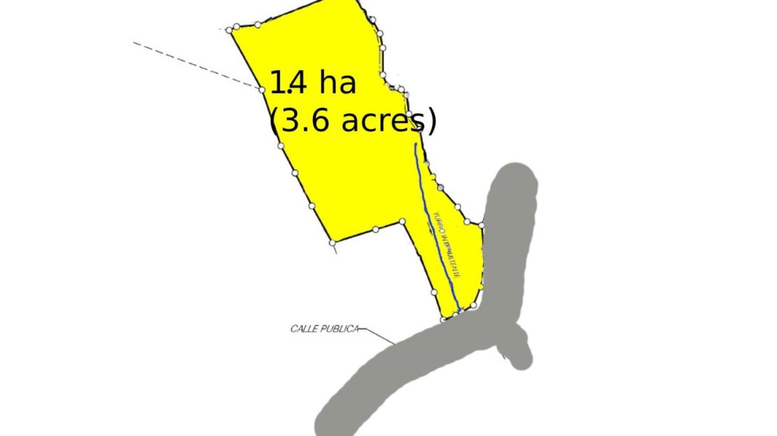 uvita