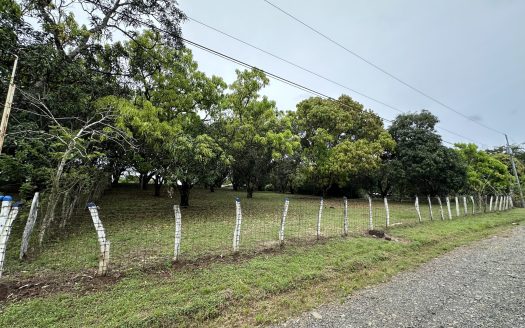 3 Country Estates for Sale in Turrubares, Laguna: Nature, Accessibility, and Investment Potential