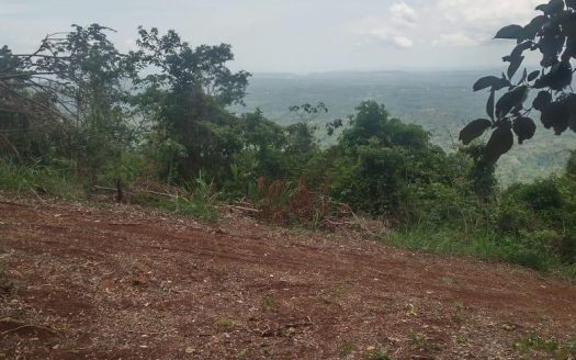 🌿 For Sale: Majestic 175-Hectare Property in San Juan de Mata, Turrubares 🌿