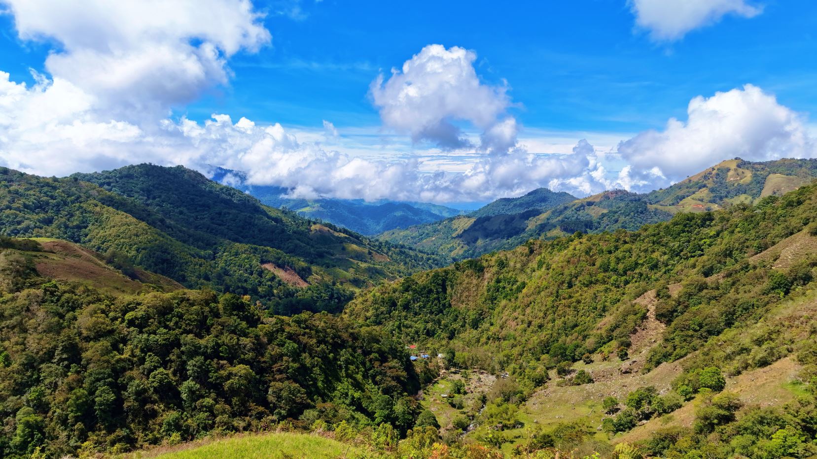 Herradura Farm for Sale: 100.6 -Hectare (248.6 ac) Water and Forest Reserve in Chirripó