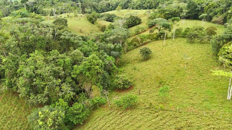 BEAUTIFUL LAND FOR SALE IN THE HEART OF SAN FRANCISCO DE CAJON, 96 ACRES