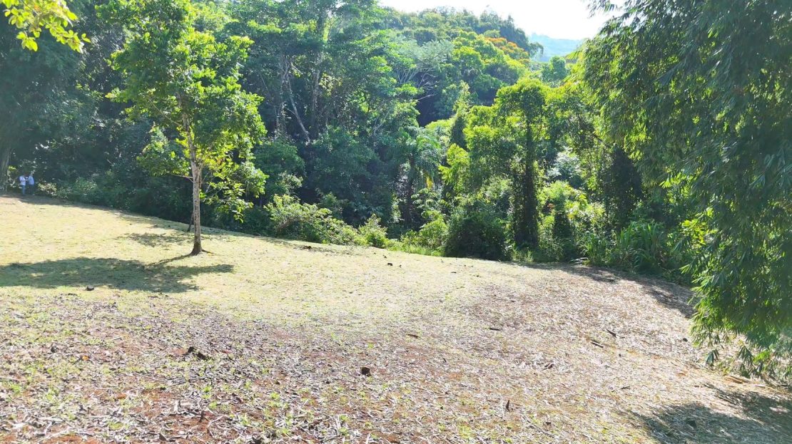 Exclusive Land Investment Opportunity Near the stunning beaches in Dominical