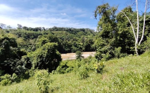 For Sale: 50-Acre Riverfront Farm in Pérez Zeledón – Water Springs & Massive Citrus Production