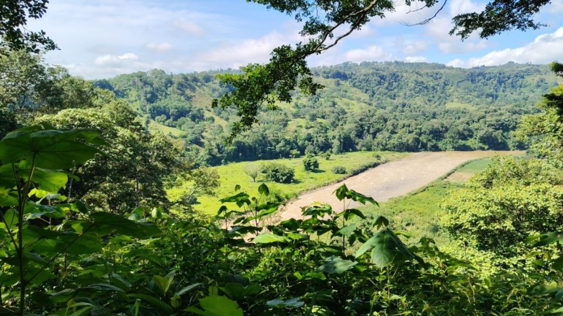 For Sale: 50-Acre Riverfront Farm in Pérez Zeledón – Water Springs & Massive Citrus Production