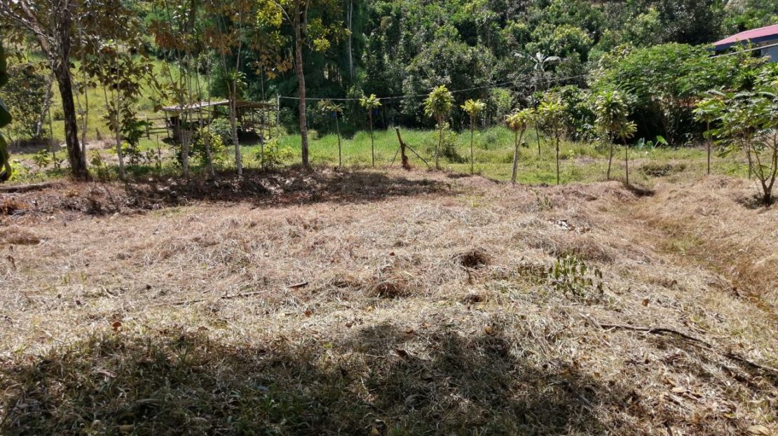 Lot for Sale | 393 m2 | Pilar de Cajón | Tranquility and Proximity to Services