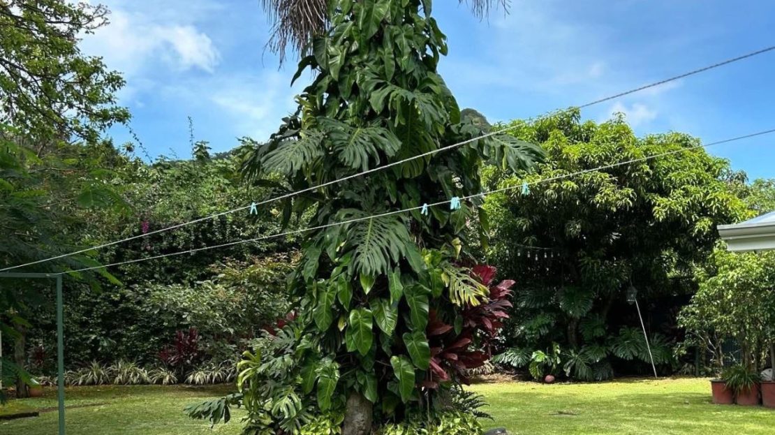 Costa Rica Real Estate