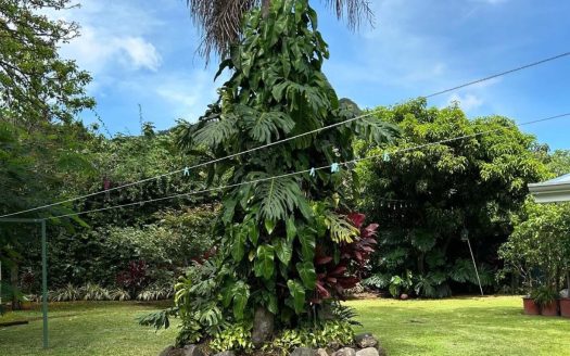 The Perfect Family Home | Single-Story House for Rent in Salitral, Santa Ana with Spacious Garden