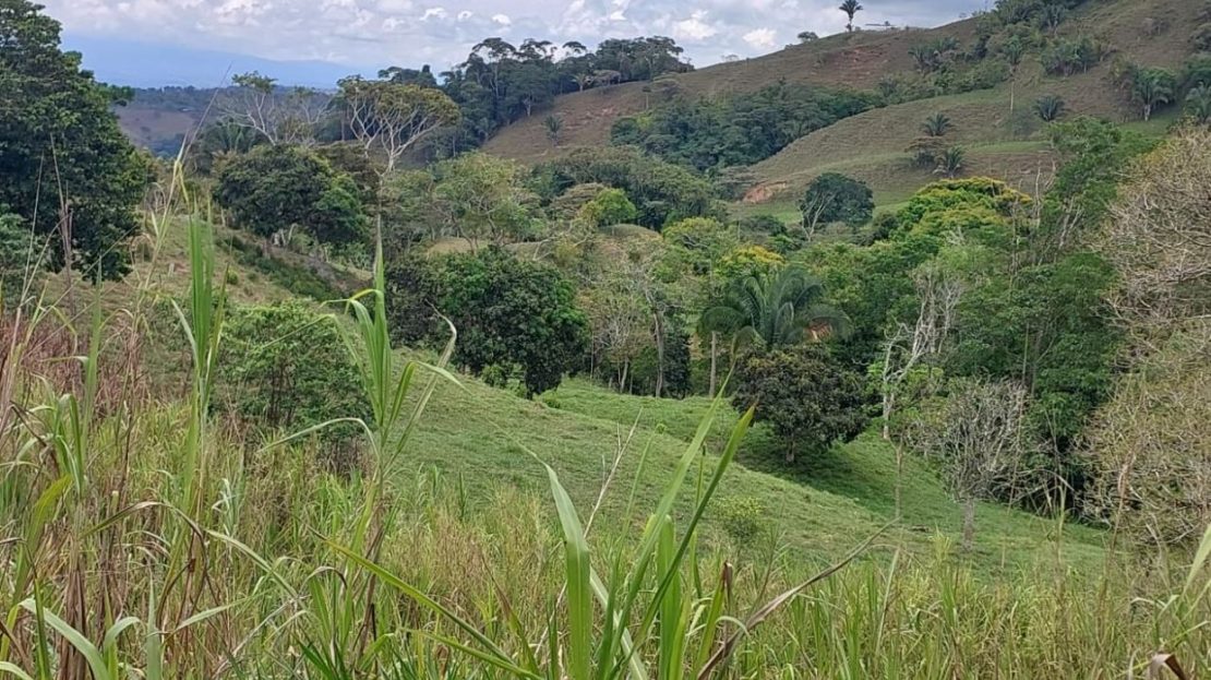 Costa Rica Real Estate