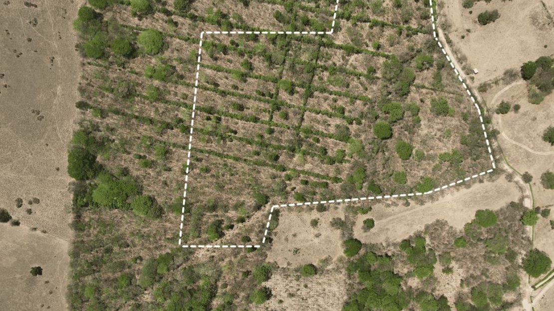 Flat 9.4 Hectare Property with Cacao Plantation & Public Road Frontage – Nicoya