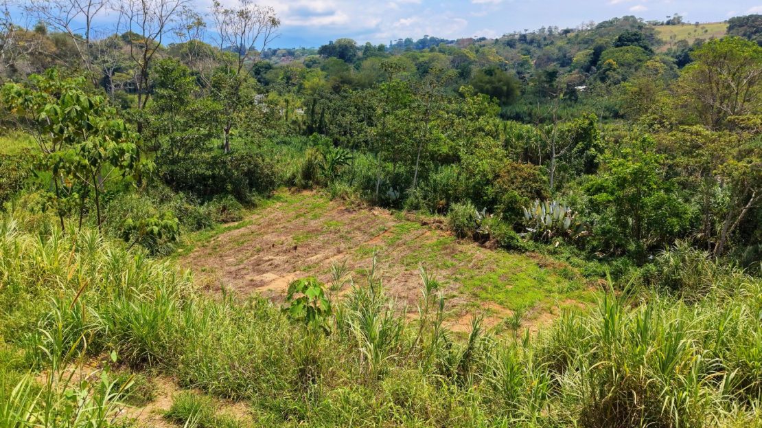 1 Ha Lot for sale in San Pedro: River