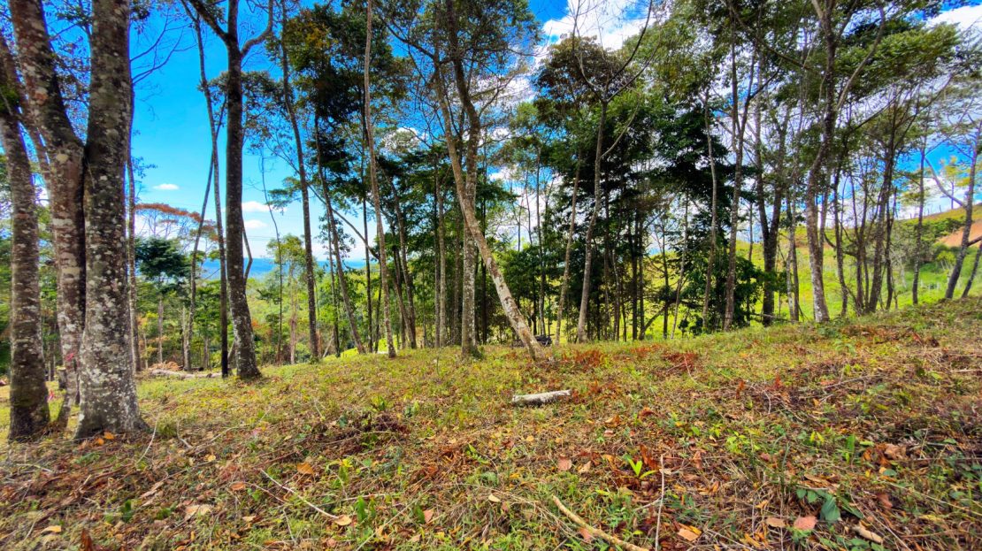 Costa Rica Real Estate