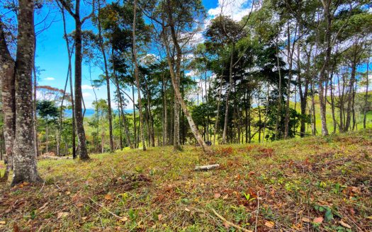 For Sale: Beautiful Mountain 706m2 Residential Lot in Quebradas – CR