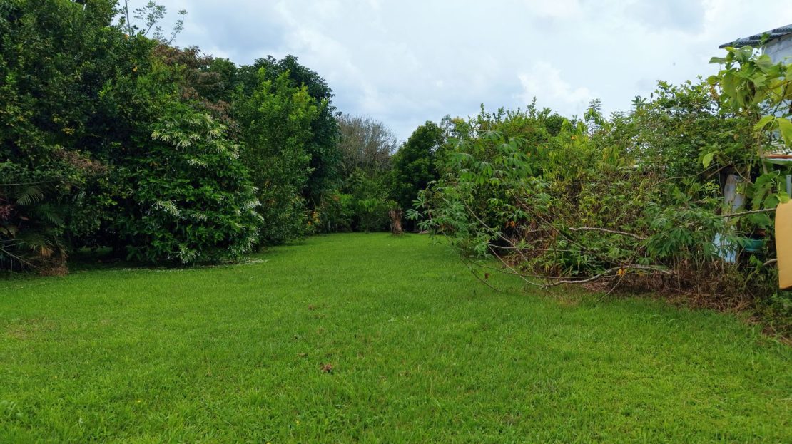Costa Rica Real Estate