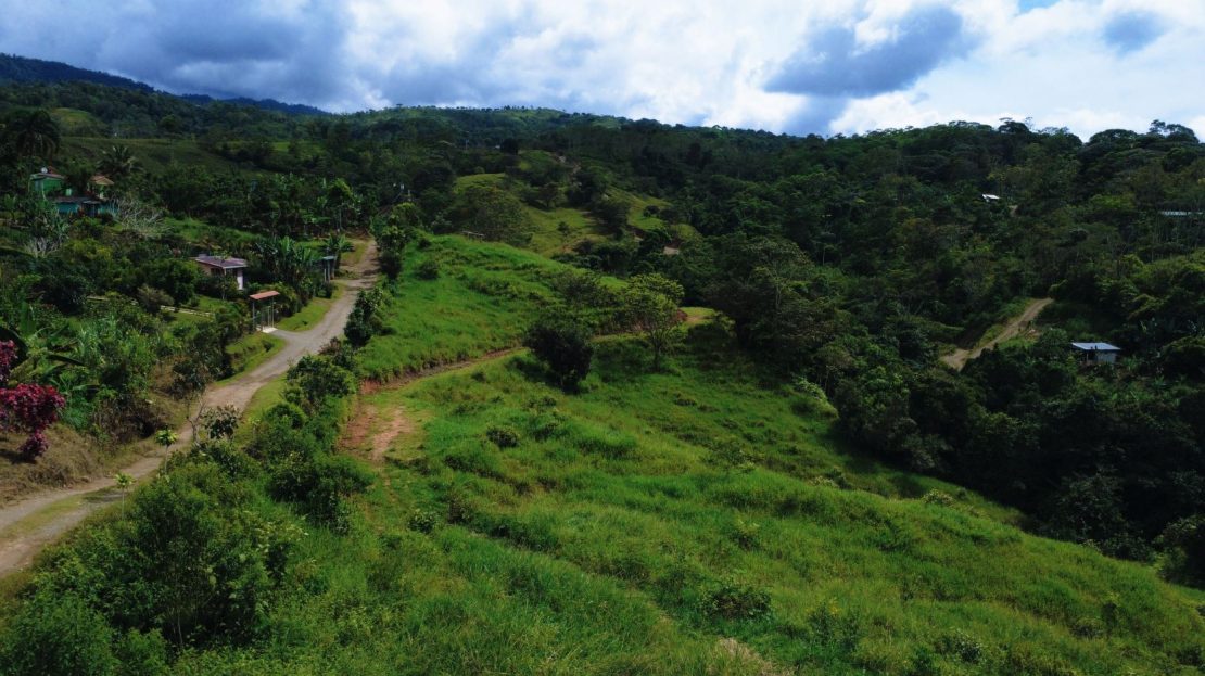Land for Sale: 20