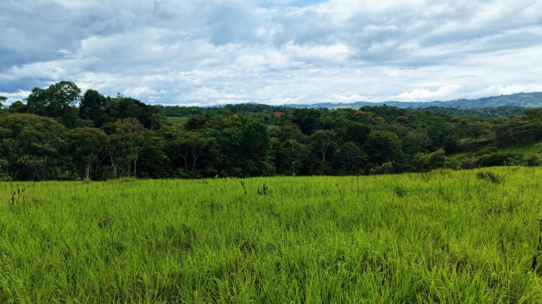 000 m² Prime View Lot in Santa Cecilia