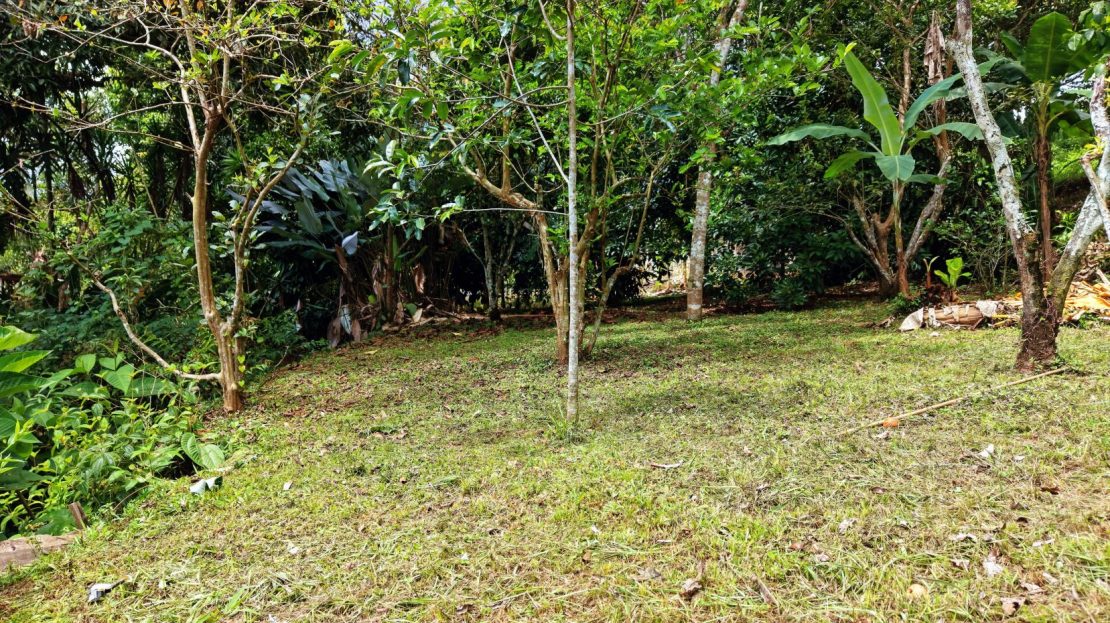 Costa Rica Real Estate