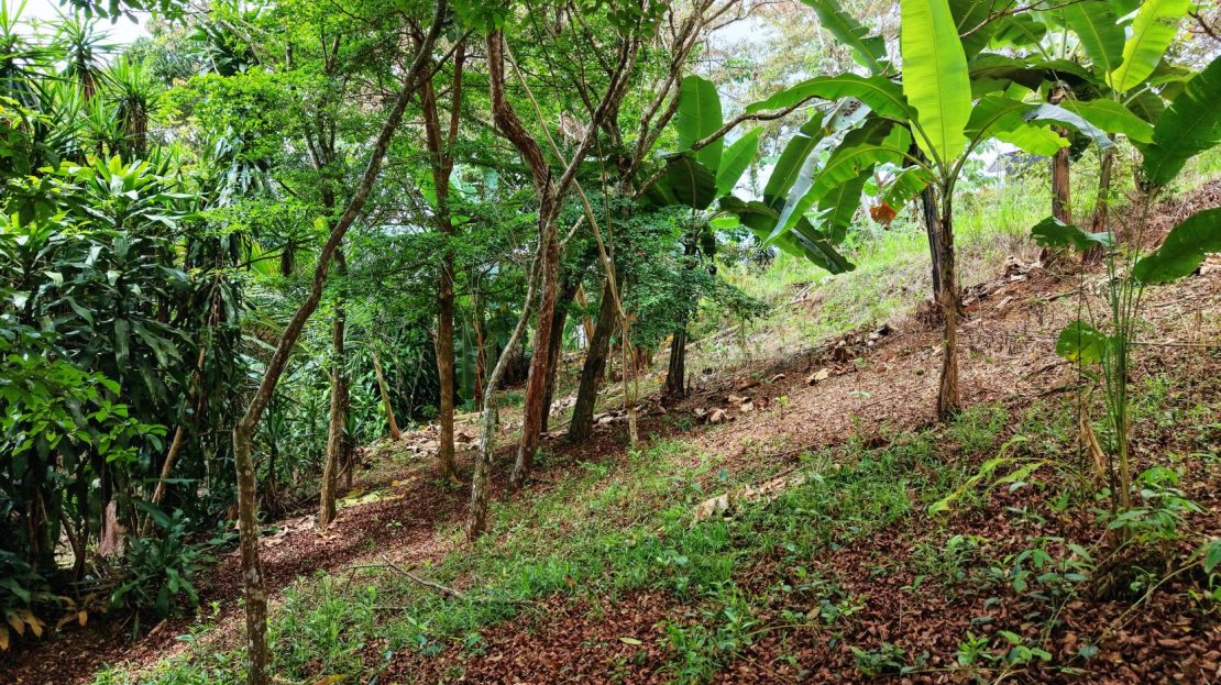 321 m² lot for sale | Barrio San Rafael