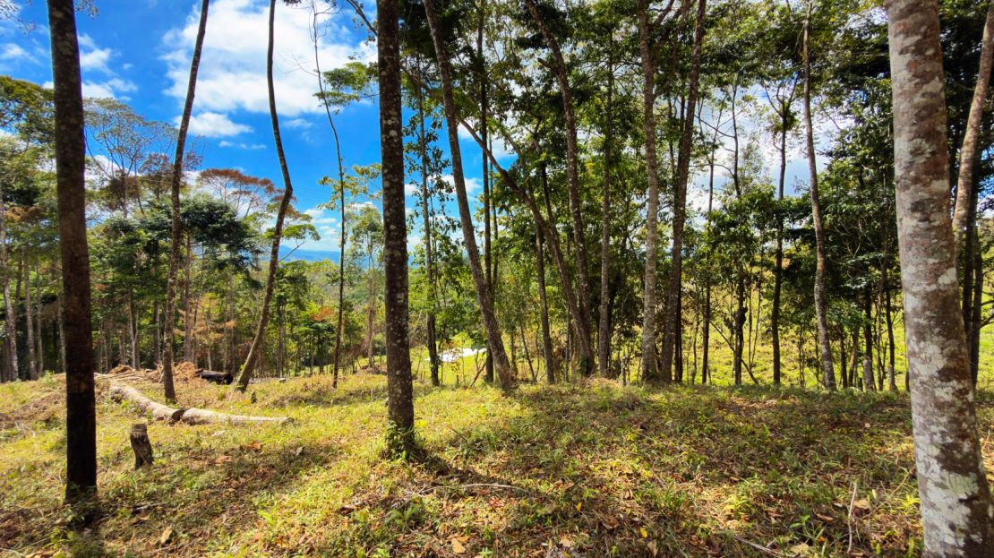 Costa Rica Real Estate