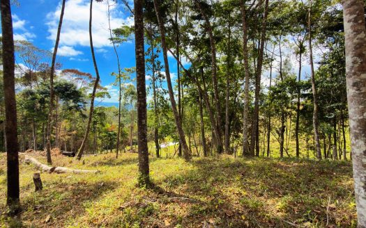 For Sale: Beautiful Mountain 781m2 Residential Lot in Quebradas – CR