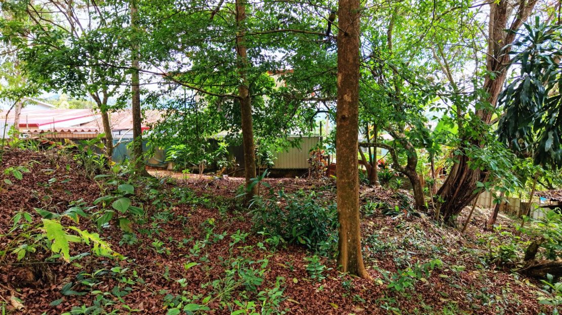 Costa Rica | Residential