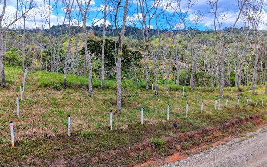 For Sale: One of 3 Premium Lots in Santa Rosa, Perez Zeledon – Don’t Miss Out