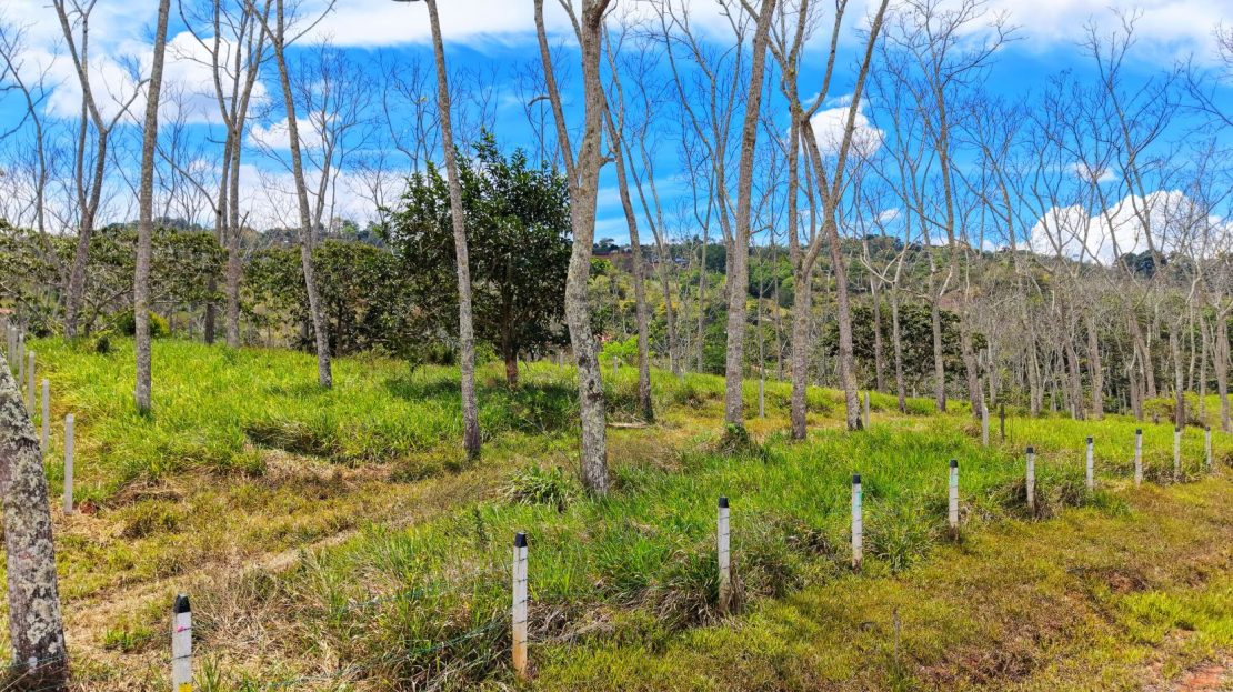 For Sale: One of 3 Premium Lots in Santa Rosa