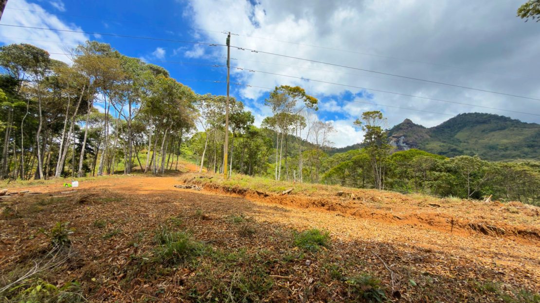 Costa Rica Real Estate