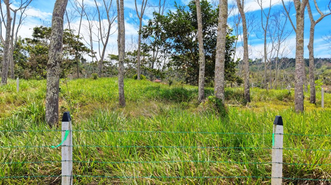 Costa Rica Real Estate