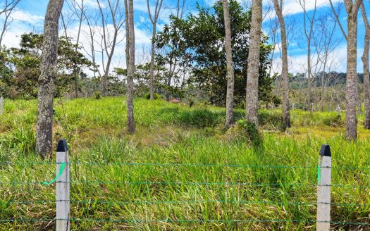 For Sale: One of 3 Premium Lots in Santa Rosa, Perez Zeledon – Don’t Miss Out
