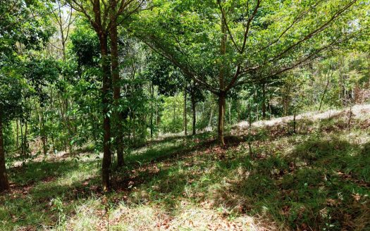 2,580 m² lot for sale in Pedregoso, Calle Calallo, Pérez Zeledón, Costa Rica, strategically located just 1 km from the main access.