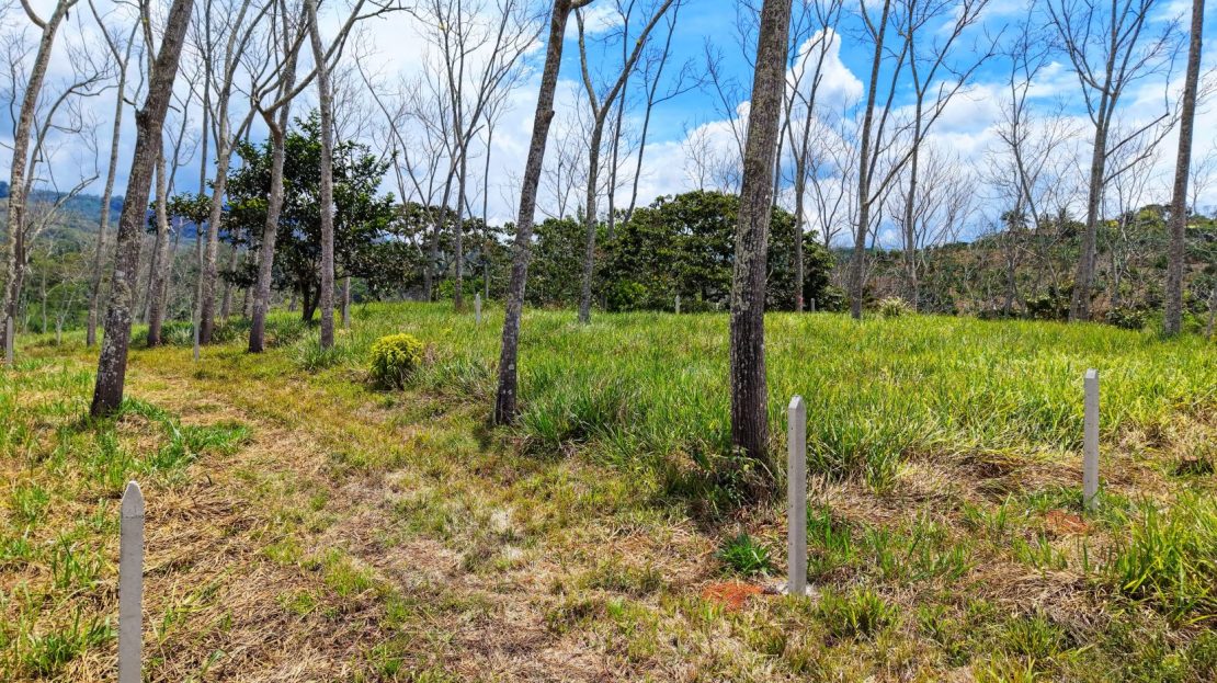 For Sale: One of 3 Premium Lots in Santa Rosa