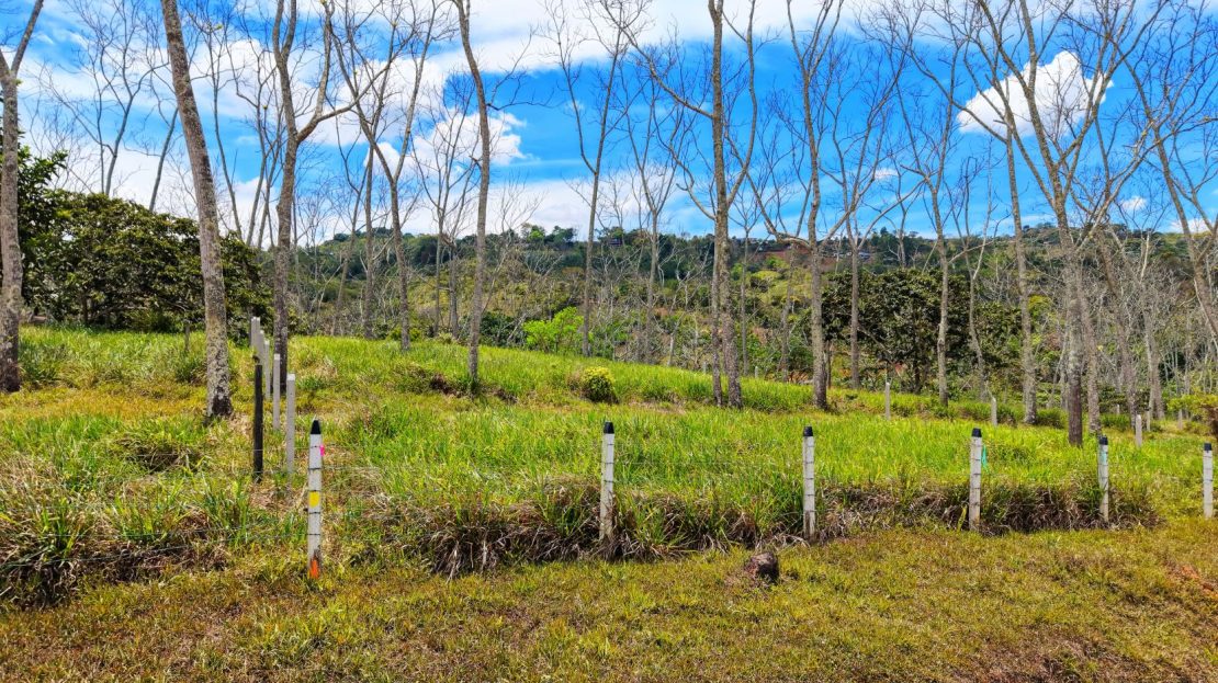 Costa Rica Real Estate