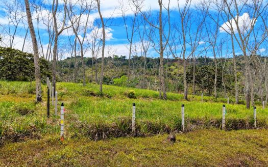 For Sale: One of 3 Premium Lots in Santa Rosa, Perez Zeledon – Don’t Miss Out