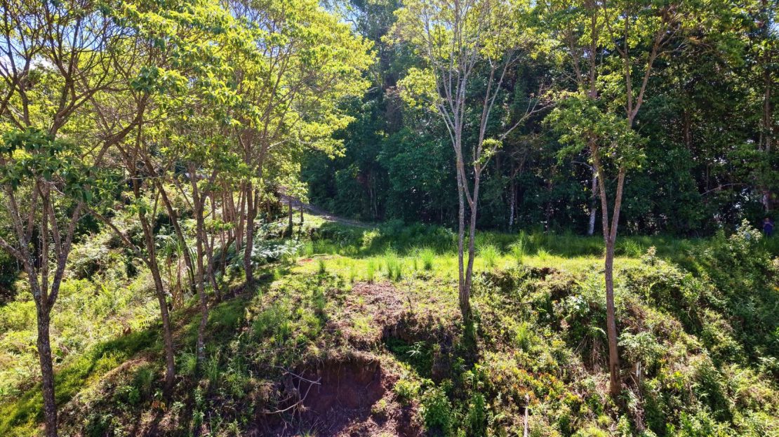 Costa Rica Real Estate